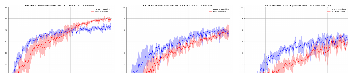 Test accuracy under label noise for BALD versus random acquisition